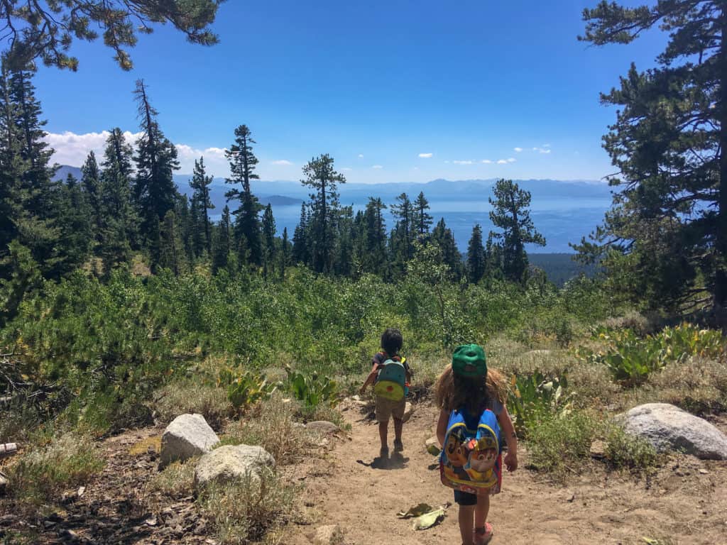 elementary students hiking along a trail
