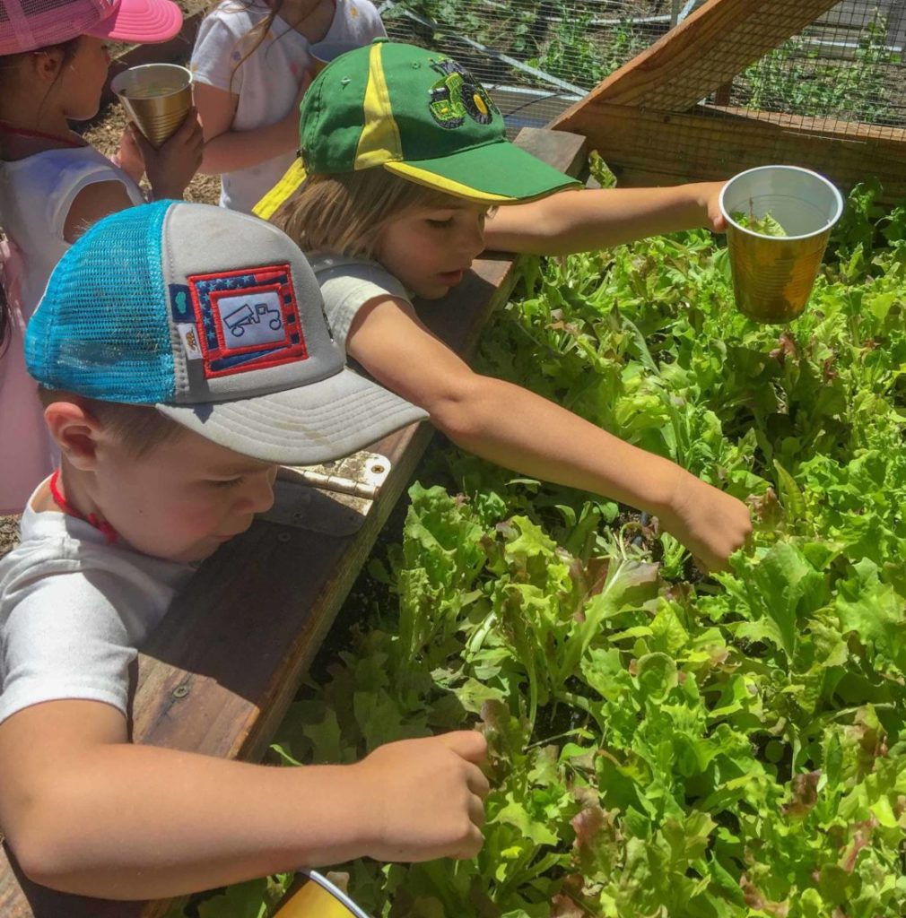 elementary students working in a garden